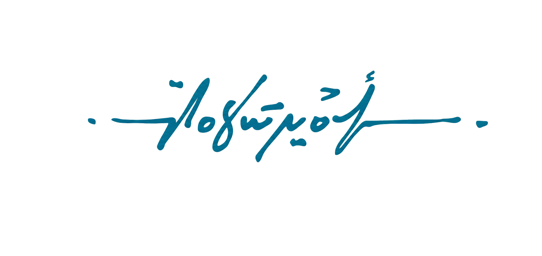 Amir Salame signature